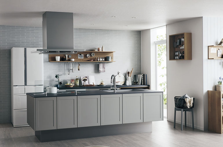 ラクシーナ画像