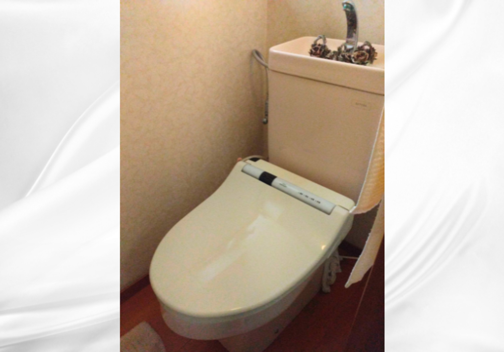 施工前トイレ本体の画像